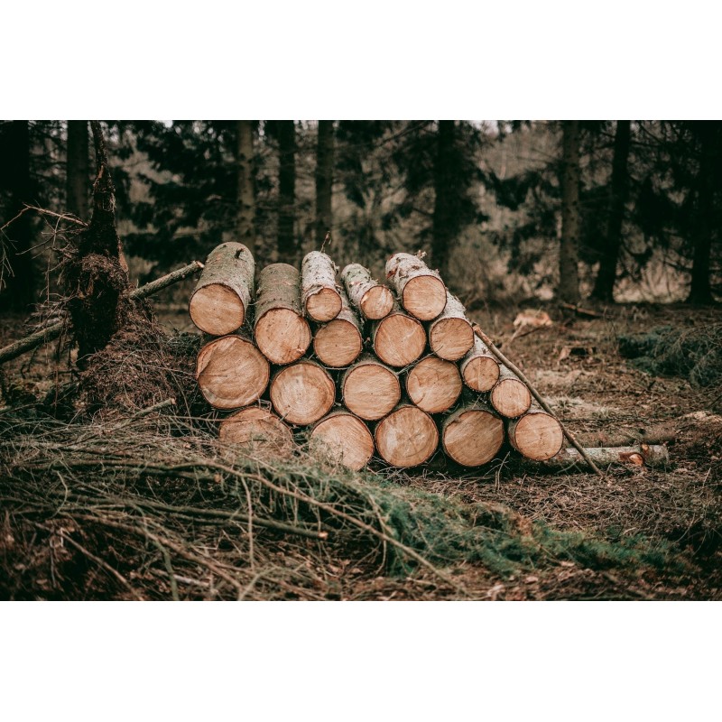 Fasonarea buștenilor