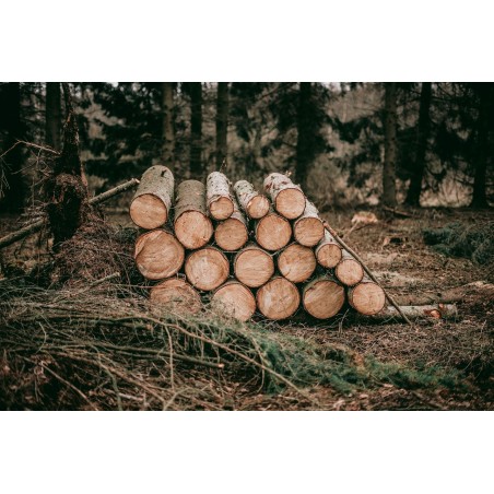 Fasonarea buștenilor